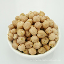 best quality chickpea market price HPS white chick pea beans